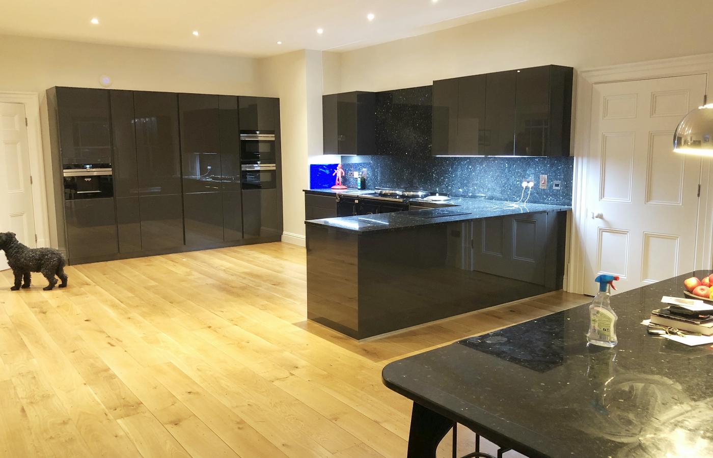 Tall high gloss kitchen units